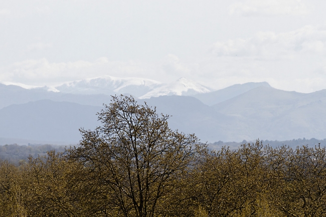 Bayonne-Avril 2012-213